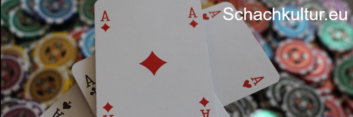 schachkultur.eu